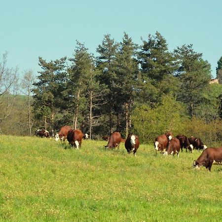 Gites A La Ferme De Bacon Saint-Sylvestre  Εξωτερικό φωτογραφία