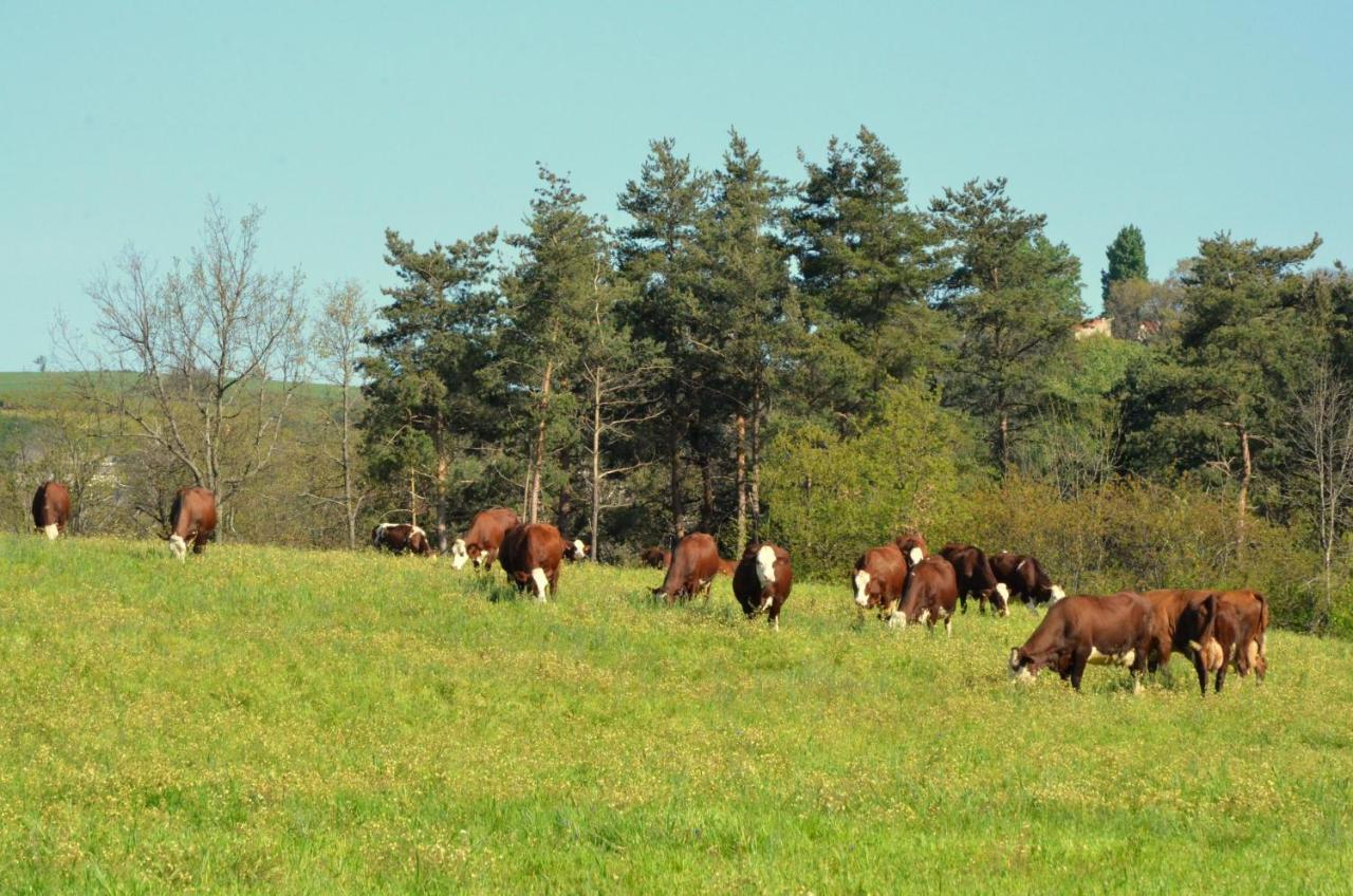 Gites A La Ferme De Bacon Saint-Sylvestre  Εξωτερικό φωτογραφία